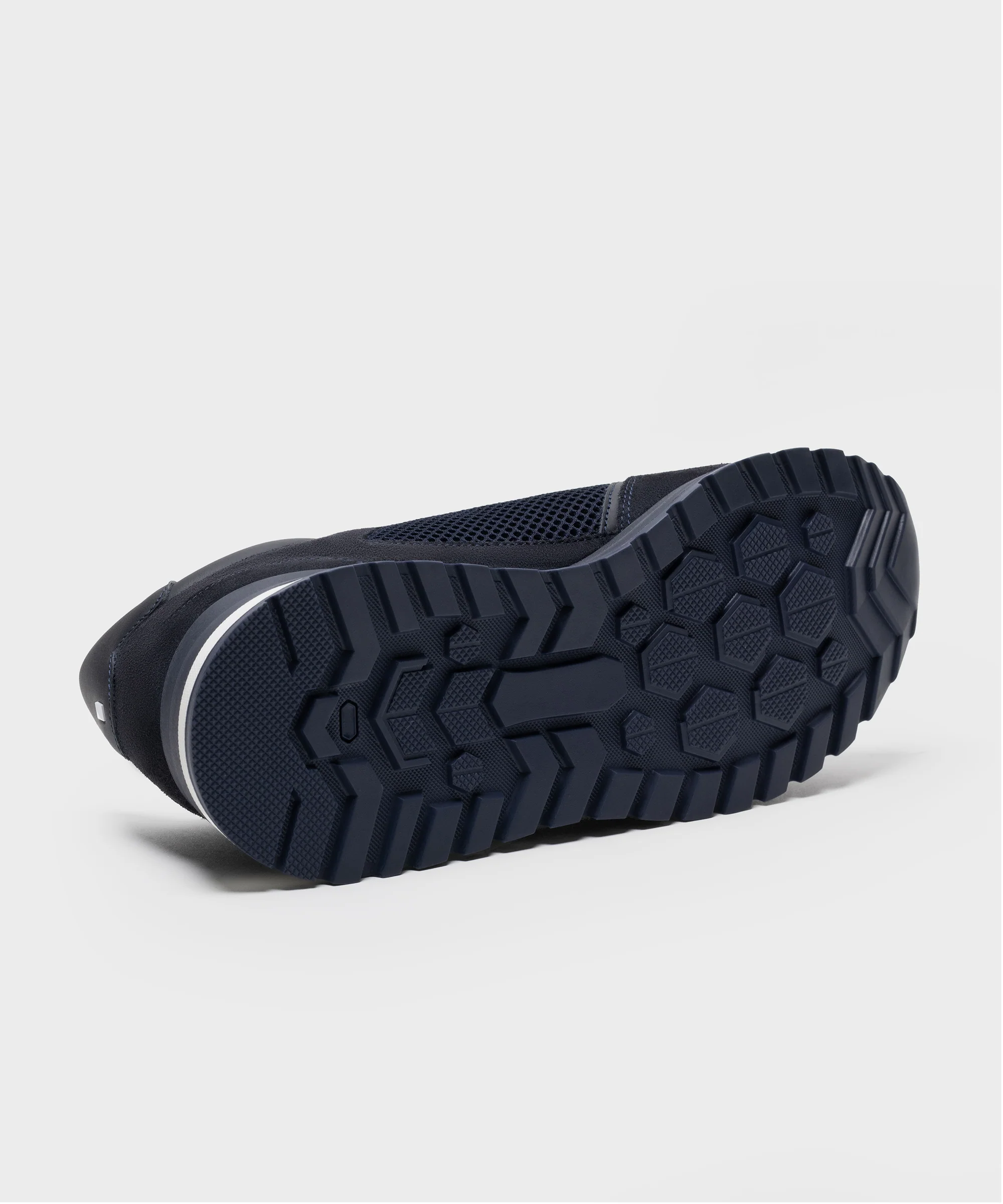 RS 03 Blueberry - Image 10