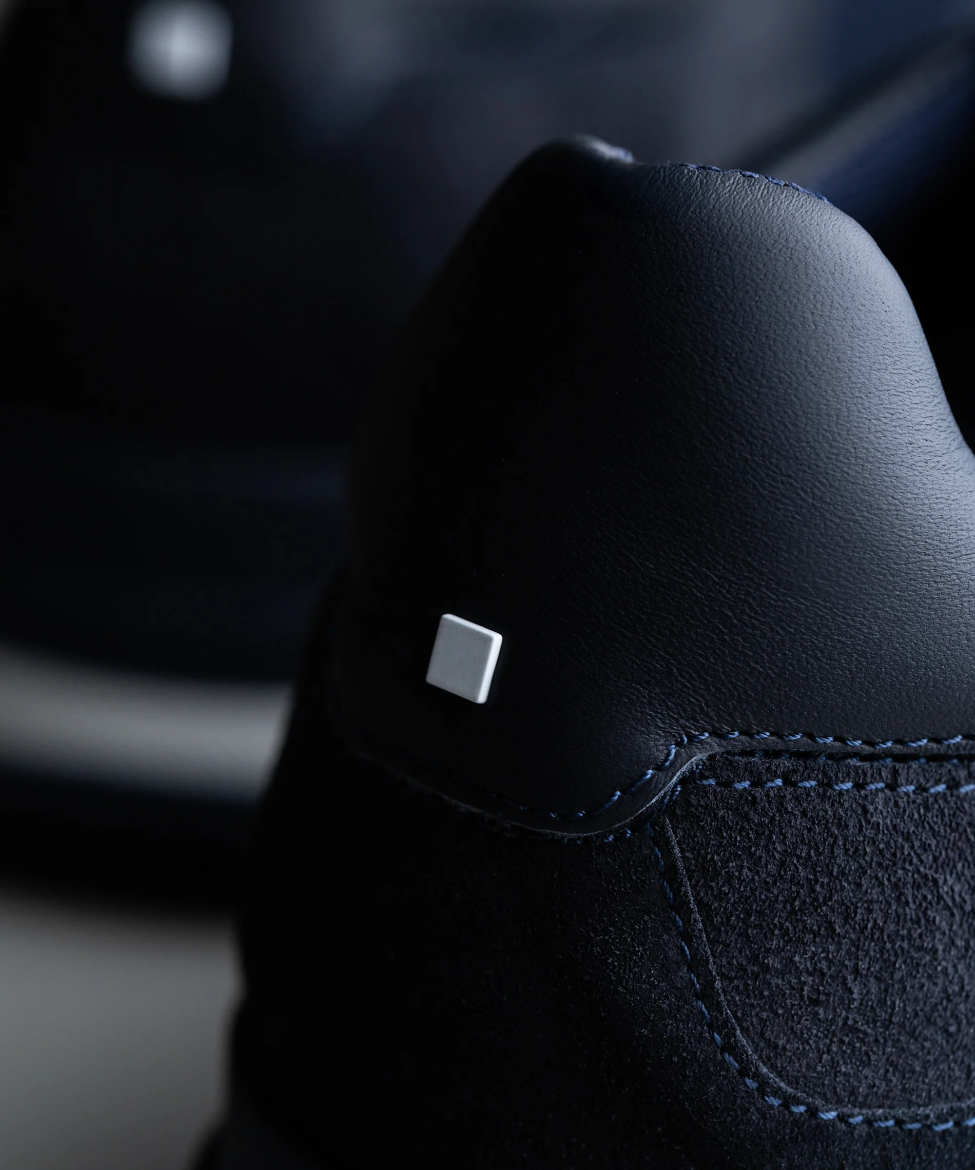 RS 03 Blueberry - Image 5